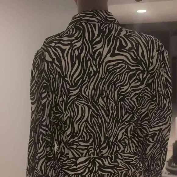 Zara zebra print maxi dress - Picture 11 of 15